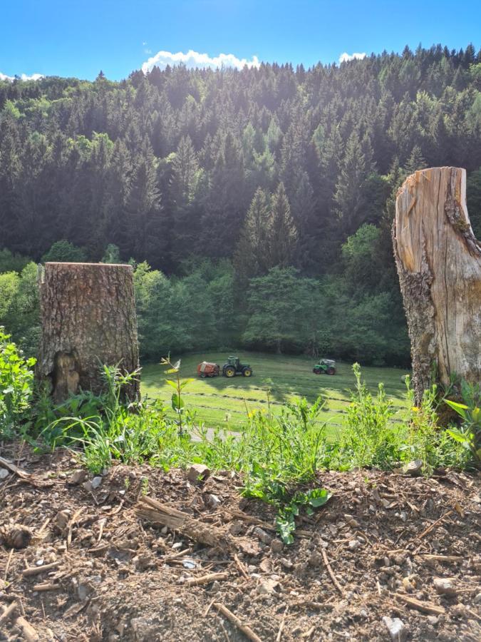 Appartamento Panoramablick Willingen Schwalefeld Esterno foto